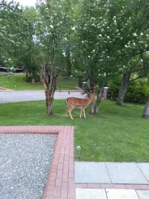 7 Burnside House Bed & Breakfast Kilmorack Eksteriør bilde