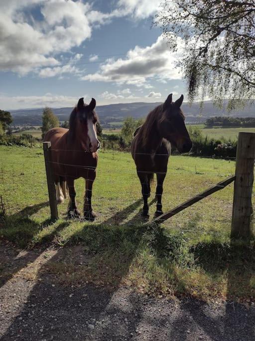 7 Burnside House Bed & Breakfast Kilmorack Eksteriør bilde